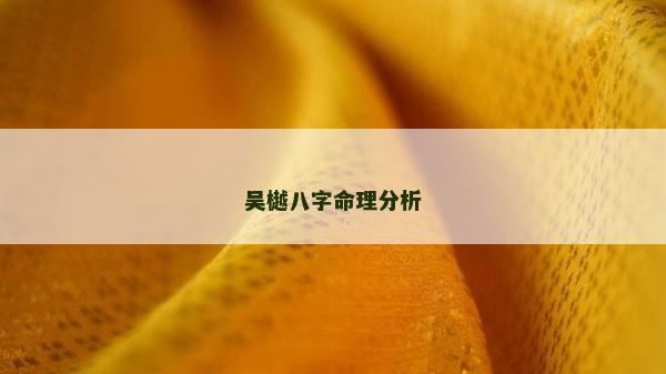 吳樾八字命理分析