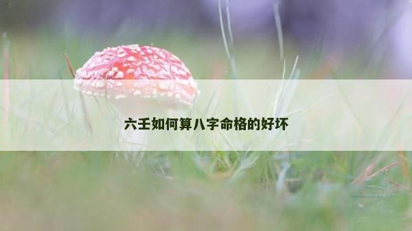 六壬如何算八字命格的好壞