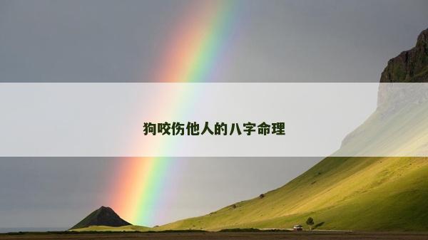 狗咬傷他人的八字命理