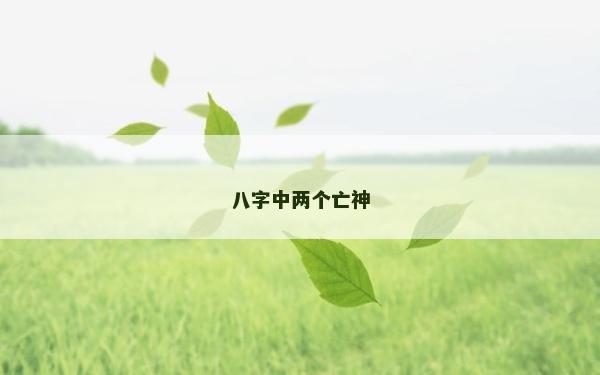 八字中兩個亡神