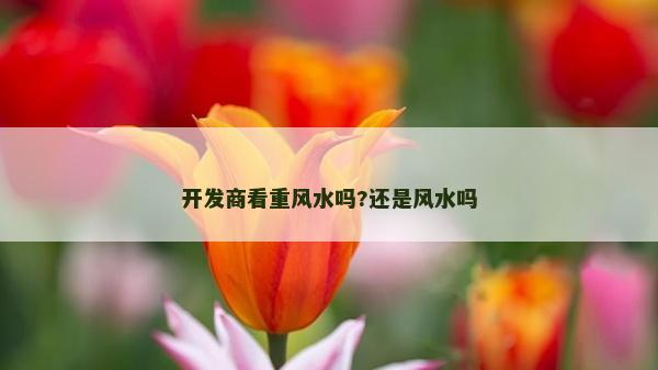 開發商看重風水嗎?還是風水嗎