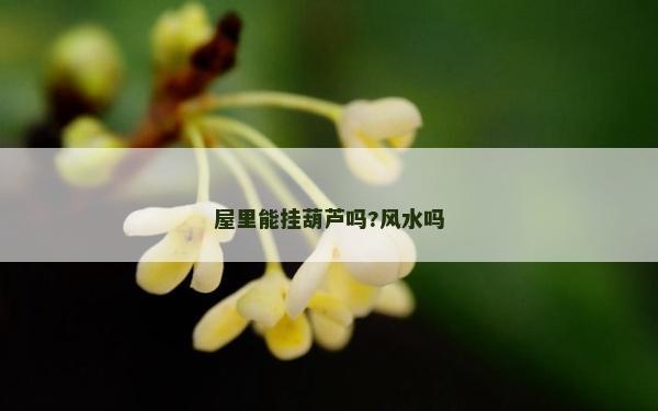 屋里能掛葫蘆嗎?風水嗎