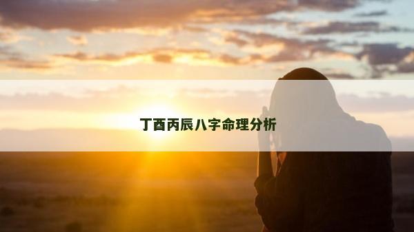 丁酉丙辰八字命理分析