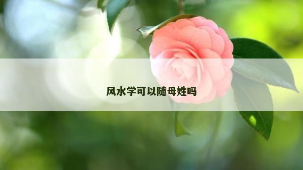 風水學可以隨母姓嗎