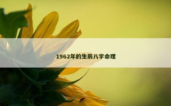 1962年的生辰八字命理