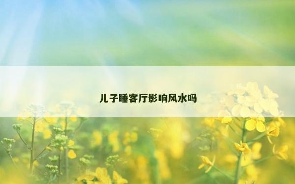 兒子睡客廳影響風(fēng)水嗎