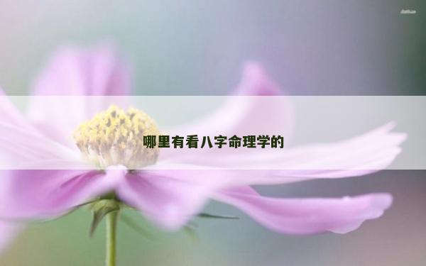 哪里有看八字命理學的