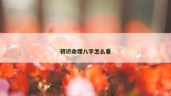 初識命理八字怎么看