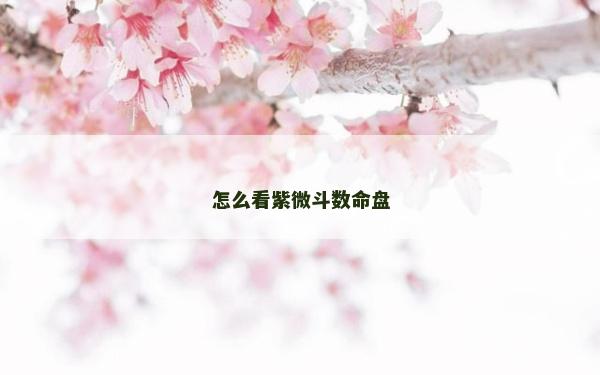 怎么看紫微斗數命盤