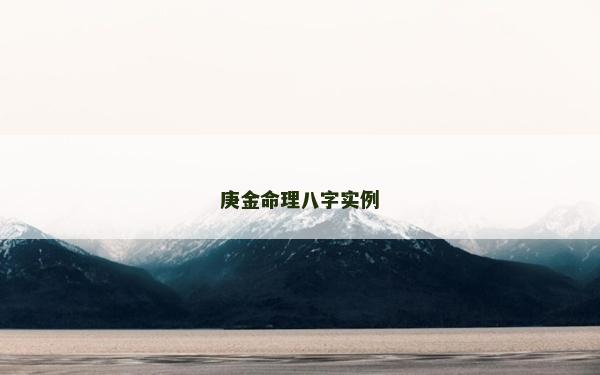 庚金命理八字實例