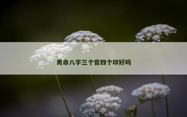 男命八字三個官四個印好嗎 男命八字三個官四個印好嗎