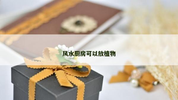 風水廚房可以放植物
