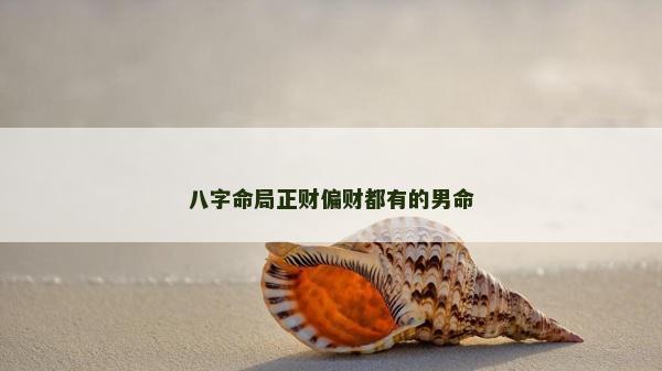 八字命局正財偏財都有的男命