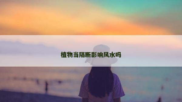 植物當(dāng)隔斷影響風(fēng)水嗎