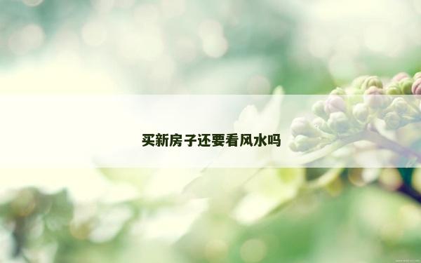 買新房子還要看風水嗎