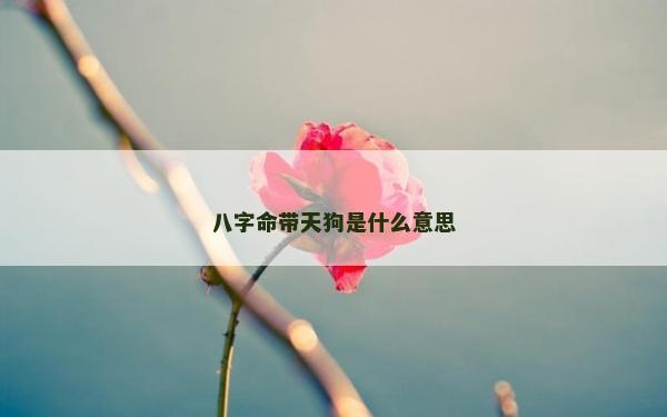 八字命帶天狗是什么意思