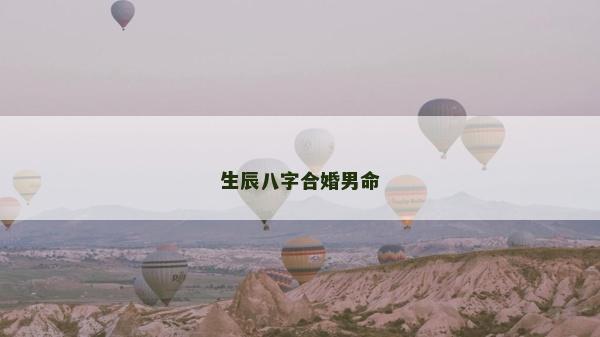 生辰八字合婚男命