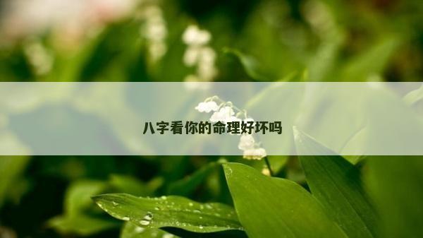 八字看你的命理好壞嗎