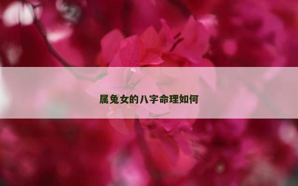 屬兔女的八字命理如何