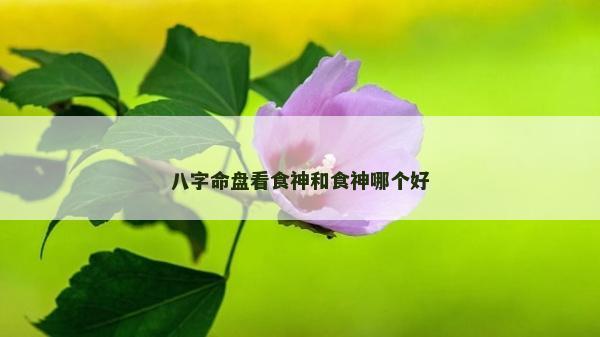 八字命盤看食神和食神哪個好
