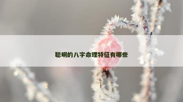 聰明的八字命理特征有哪些