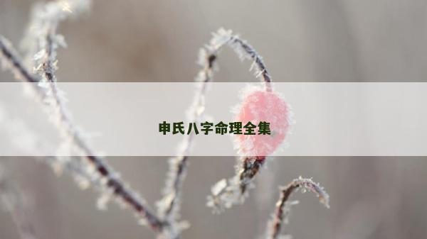 申氏八字命理全集