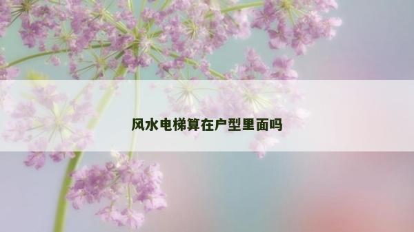 風(fēng)水電梯算在戶型里面嗎