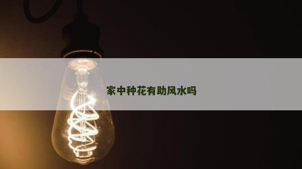 家中種花有助風(fēng)水嗎