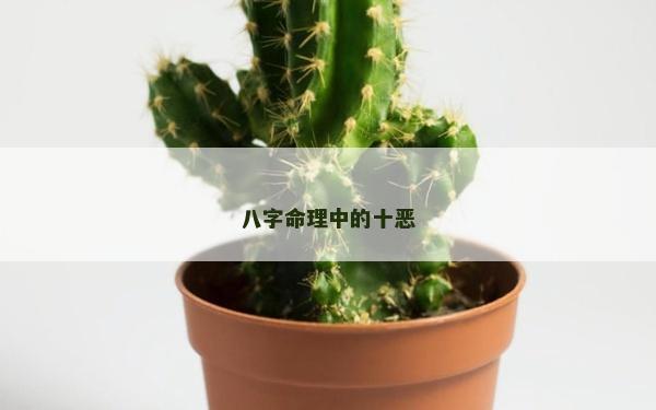 八字命理中的十惡