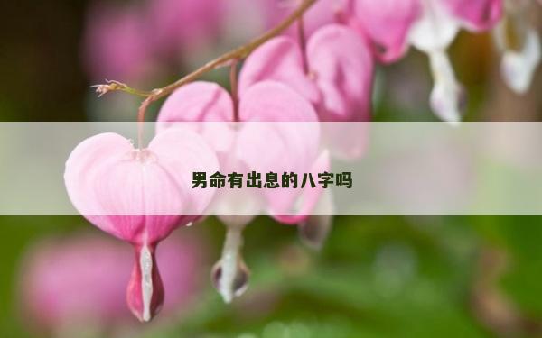 男命有出息的八字嗎 男命有出息的八字嗎