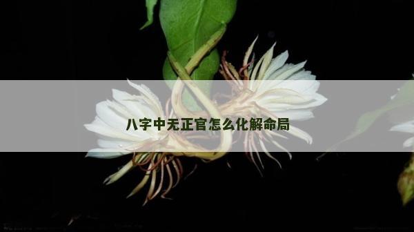 八字中無正官怎么化解命局