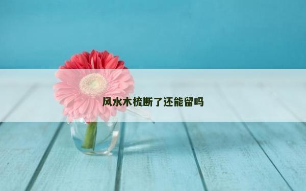 風水木梳斷了還能留嗎