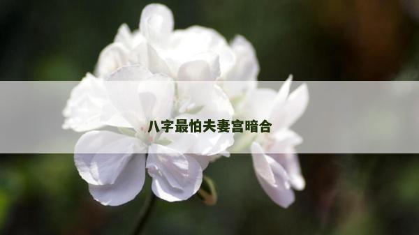 八字最怕夫妻宮暗合