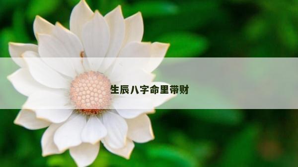 生辰八字命里帶財