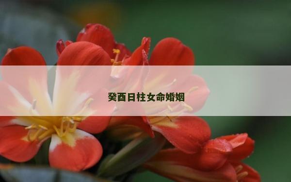癸酉日柱女命婚姻 癸酉日柱女命婚姻