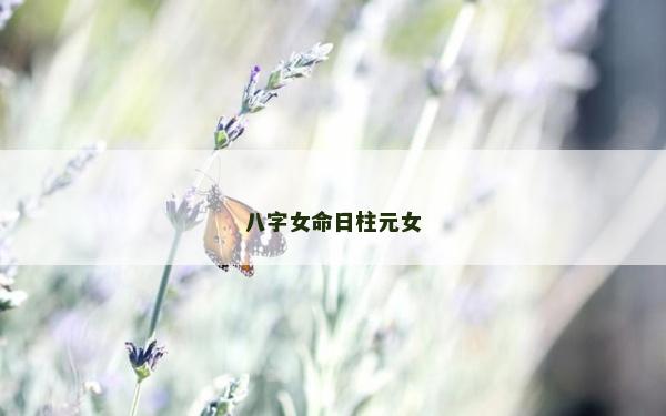 八字女命日柱元女