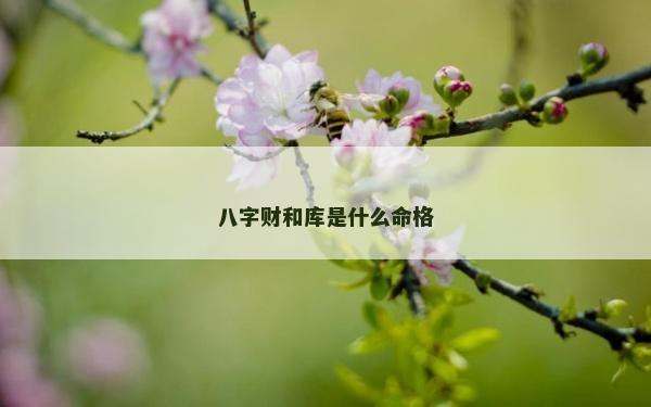 八字財和庫是什么命格