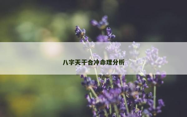 八字天干合沖命理分析