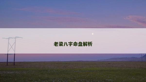 老梁八字命盤解析