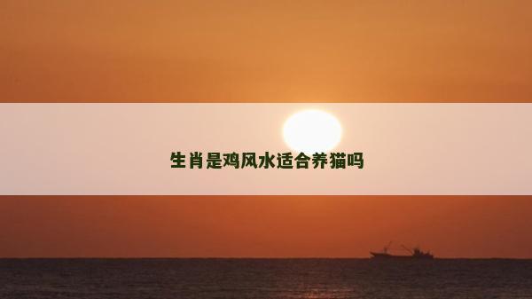 生肖是雞風水適合養貓嗎