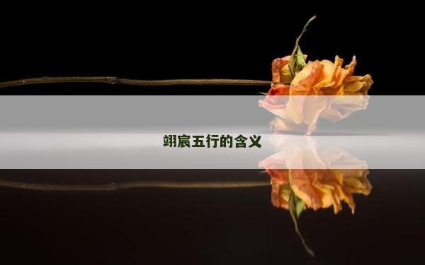 翊宸五行的含義