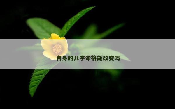 自身的八字命格能改變嗎