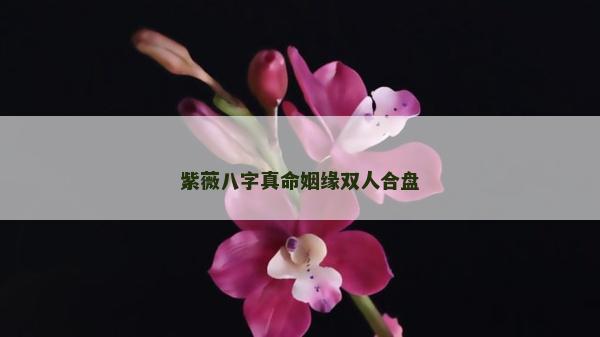 紫薇八字真命姻緣雙人合盤