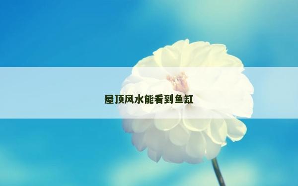 屋頂風(fēng)水能看到魚缸