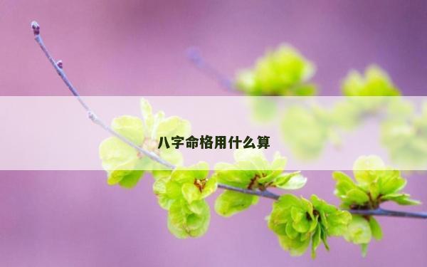 八字命格用什么算