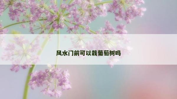 風水門前可以栽葡萄樹嗎 風水門前可以栽葡萄樹嗎