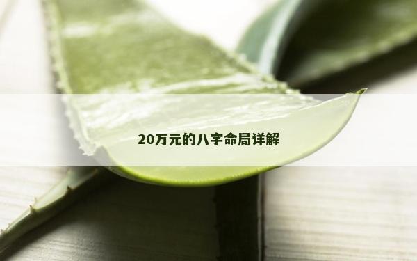 20萬元的八字命局詳解