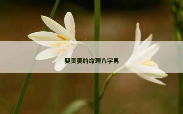 娶貴妻的命理八字男 娶貴妻的命理八字男