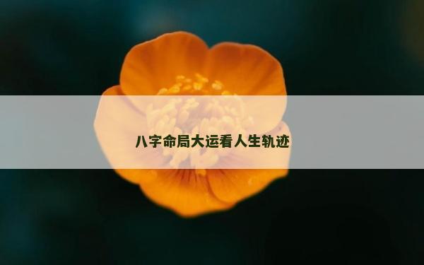 八字命局大運看人生軌跡 八字命局大運看人生軌跡