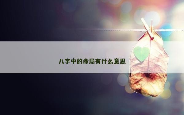 八字中的命局有什么意思